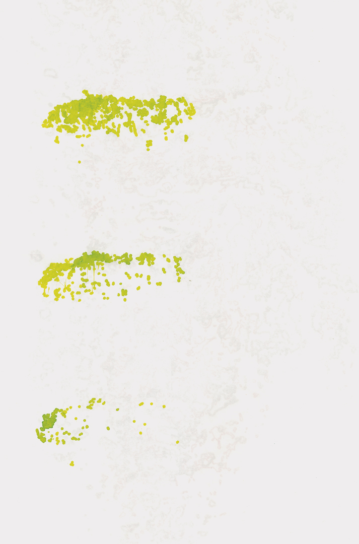 posterColine
